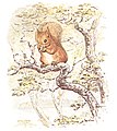 Beatrix Potter Squirrel Nutkin.jpg