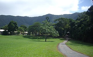 <span class="mw-page-title-main">Bentley Park, Queensland</span> Suburb of Cairns Region, Queensland, Australia