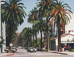 Wilshire Boulevard