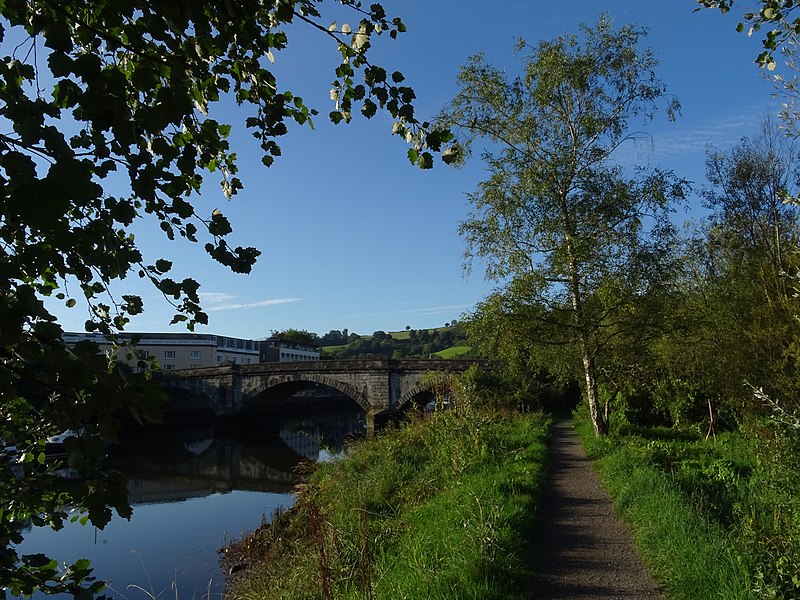 File:Birch, bridge and beyond (42719447220).jpg