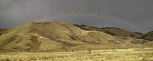 Blacktail Butte