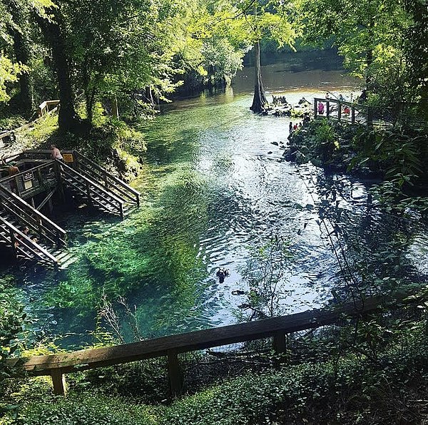 Madison Blue Springs near Madison, Florida