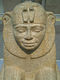 Kopf einer Sphinx des Taharqa