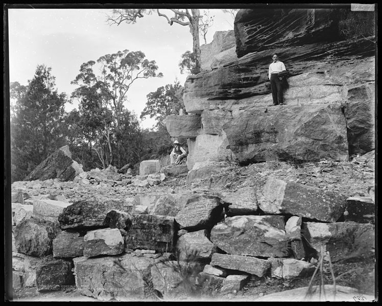 File:Bobbin Hill Road, 100 chains below trig station, descent 508 feet, Ku-ring-gai Chase National Park (26161478545).jpg