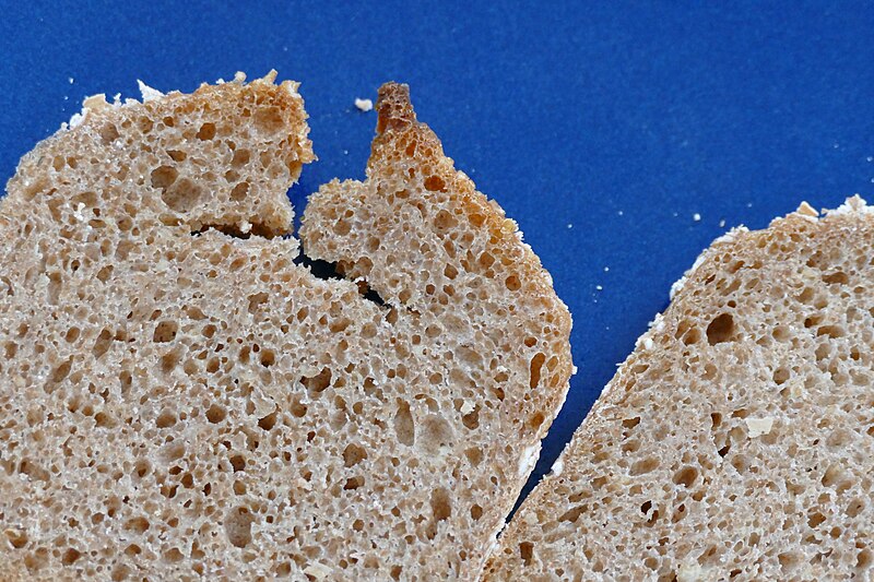 File:Brown bread made with dinkel wheat and millet 03.jpg