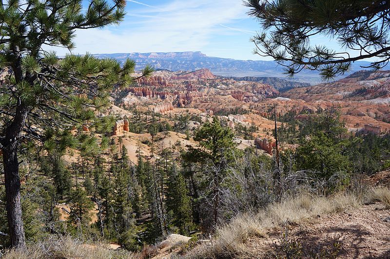 File:Bryce Canyon en 2016 (11).JPG