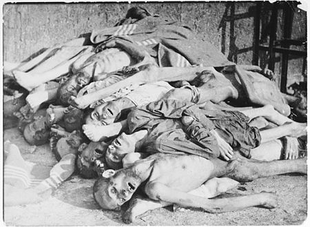 Tập_tin:Buchenwald_Victims_04508.jpg