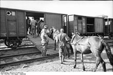 German soldiers load horses onto boxcar, southern Russia Bundesarchiv Bild 101I-217-0473-23A, Russland-Sud, Verladen von Pferden.jpg