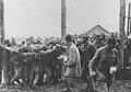 Camp de KG soviétiques à Vinnytsia le 28 juillet 1941. Certains construiront le Werwolf. 2,8 millions mourront en huit mois, de typhus ou de faim, des actes de cannibalisme étant signalés[45].