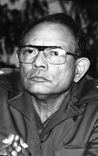 <span class="mw-page-title-main">Tomás Borge</span> Nicaraguan revolutionary and politician