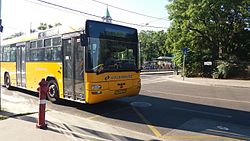 Bus line 674, Budapest.jpeg