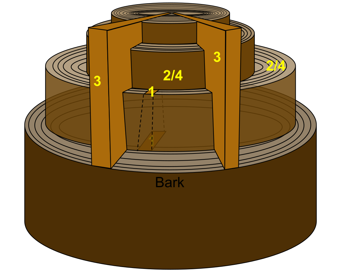 Compartimentation