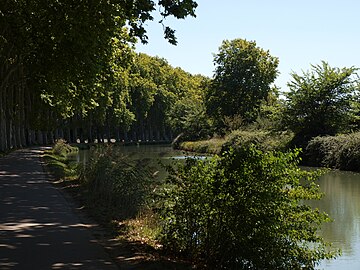 Archivo:Canal_du_Midi.JPG