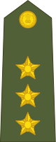 File:Captain of the Indian Army.svg