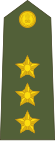 Captain of the Indian Army.svg