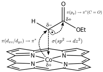 Example of carbene radical reaction intermediate generated by reaction of cobalt porphyrin and CHCO2Et ligand. s donation from the ligand to the "dz " orbital on the cobalt metal center occurs concurrent with p* back-donation from the t2g symmetry orbitals. Carbene radical bonding.png