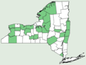 Carex albursina NY-dist-map.png