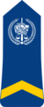 Chad-Gendarmerie-OR-5.png