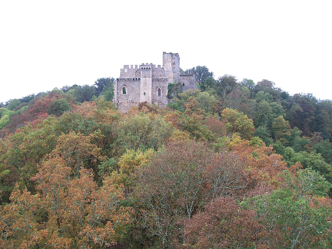 Château de Châlucet