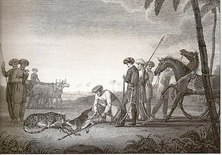 Tập_tin:CheetahHunt.jpg