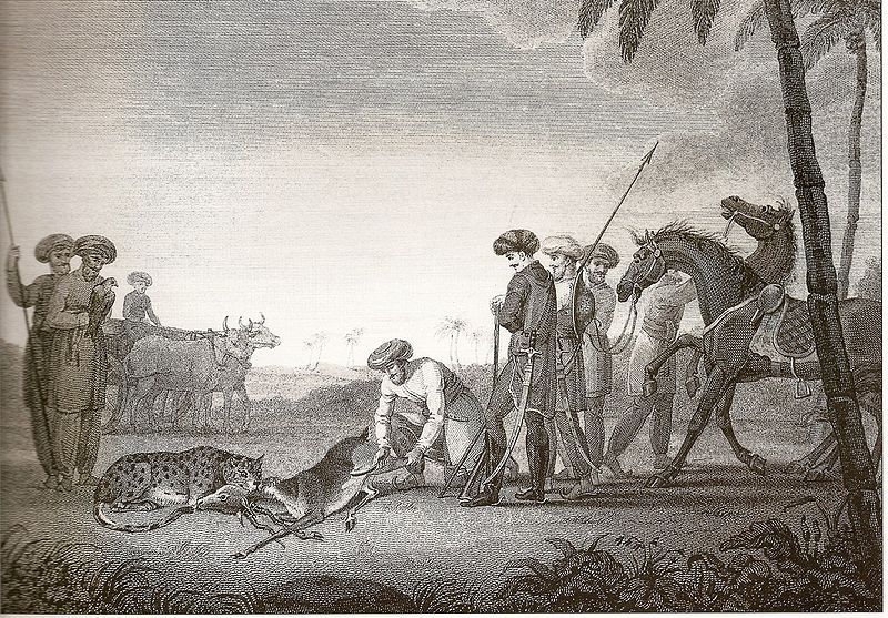 File:CheetahHunt.jpg