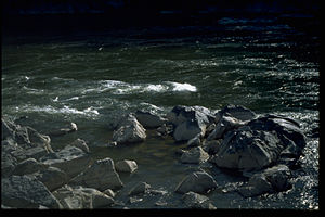 Chesapeake and Ohio Canal National Historical Park CHOH9599.jpg