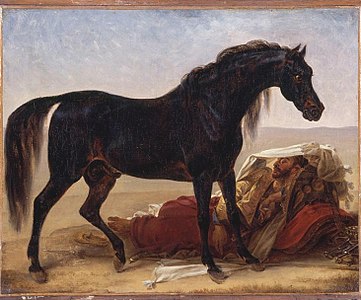 Cheval arabe Antoine-Jean Gros,1817 Musée des Beaux-Arts de Valenciennes[10]