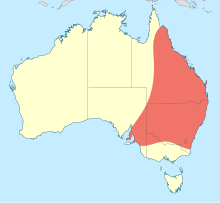 Choristhemis flavoterminata tarqatish map.svg