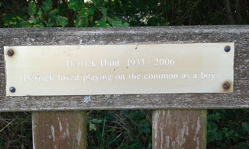 File:Close-up of the inscription (OpenBenches 2131).jpg