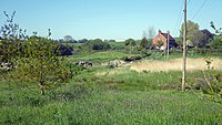 Farmland leading to Pebsham Farm Cottages.