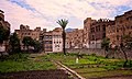 Community Garden, Sanaá, Yemen (17275304315).jpg