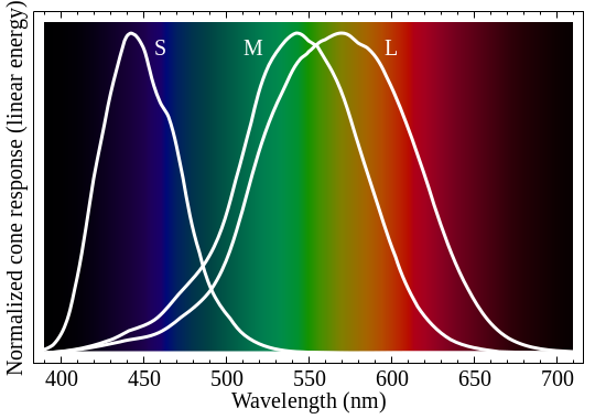 File:Cone-fundamentals-with-srgb-spectrum.svg