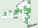Crocanthemum canadense NY-dist-map.png