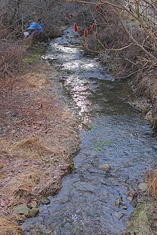 Culley Run looking downstream