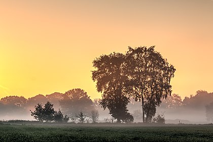 Nascer do sol na aldeia de Börnste, Kirchspiel, Dülmen, Renânia do Norte-Vestfália, Alemanha. (definição 5 470 × 3 646)