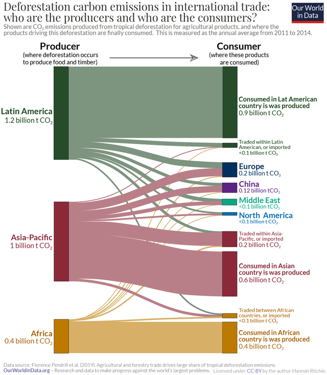 Deforestation / reforestation - Understanding Global Change