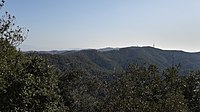 Carena del turó d'en Serra al turó de Can Pasqual vista des de prop del Puig d'Olorda.