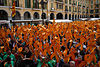 Diada per la Llengua 2014