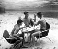 Dick Woolery, Bud Boyett and Rudy Halabuck playing poker (3366187054).jpg