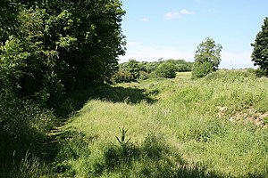 Dismantled Railway - geograph.org.uk - 837528.jpg