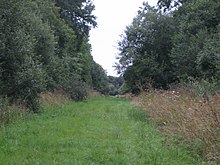 Doddershall Wood - geograph.org.uk - 931429.jpg