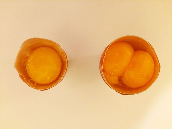 Comparison of an egg and an egg with a double-yolk (opened)