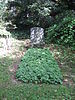 Karl Bernhardi grave of honor (Kassel main cemetery) .jpg