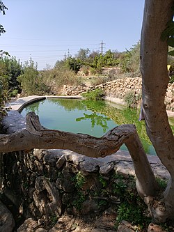 בריכת מעיין עין לבן