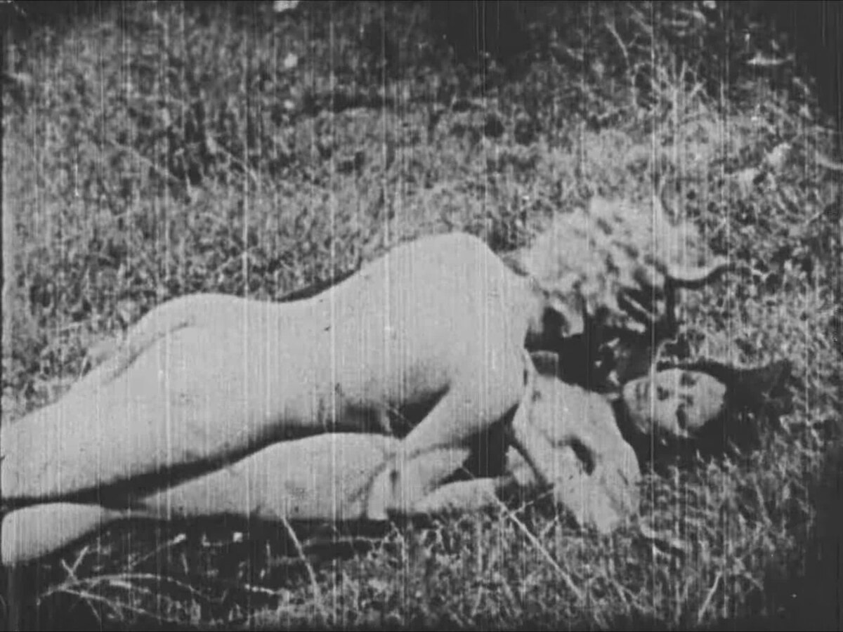 Oldest porno films (78) фото