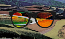 Conceptual rendering of the effect of color corrective lenses Enchroma Lens.png