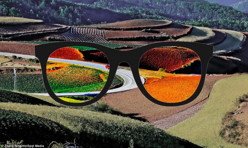 Digital Concepts/Color-blind lens/EnChroma - Wikiversity