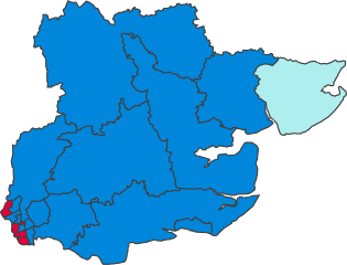EssexParliamentaryConstituency1931Results.svg
