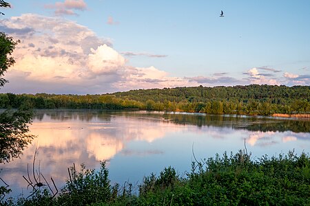 Etang de Bois Maury, depuis un observatoire