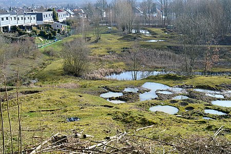 FFH Tongrube Ochtersum (33)